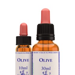Olive - kapi 10 ml