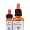 Red Chestnut - kapi 10 ml