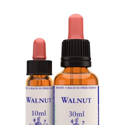 Walnut - kapi 10 ml