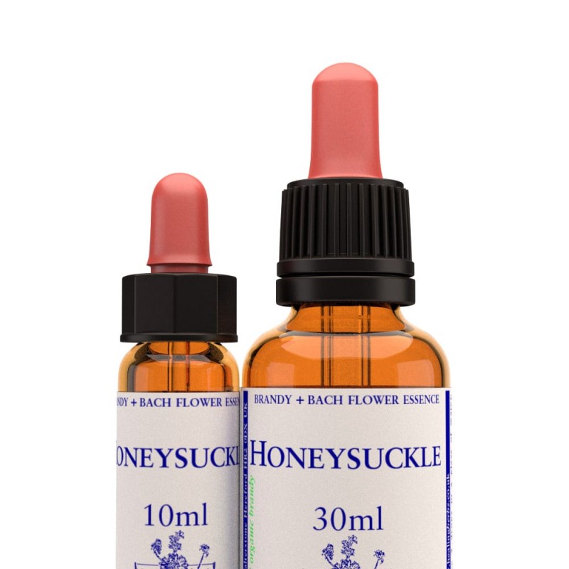 Honeysuckle - kapi 10 ml