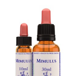 Mimulus - kapi 10 ml