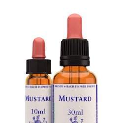 Mustard - kapi 10 ml